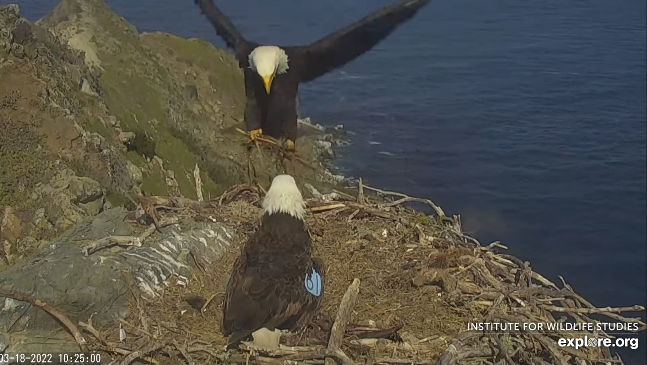 7B325911-DAD9-48CF-B8E3-76ECE45A5AA7