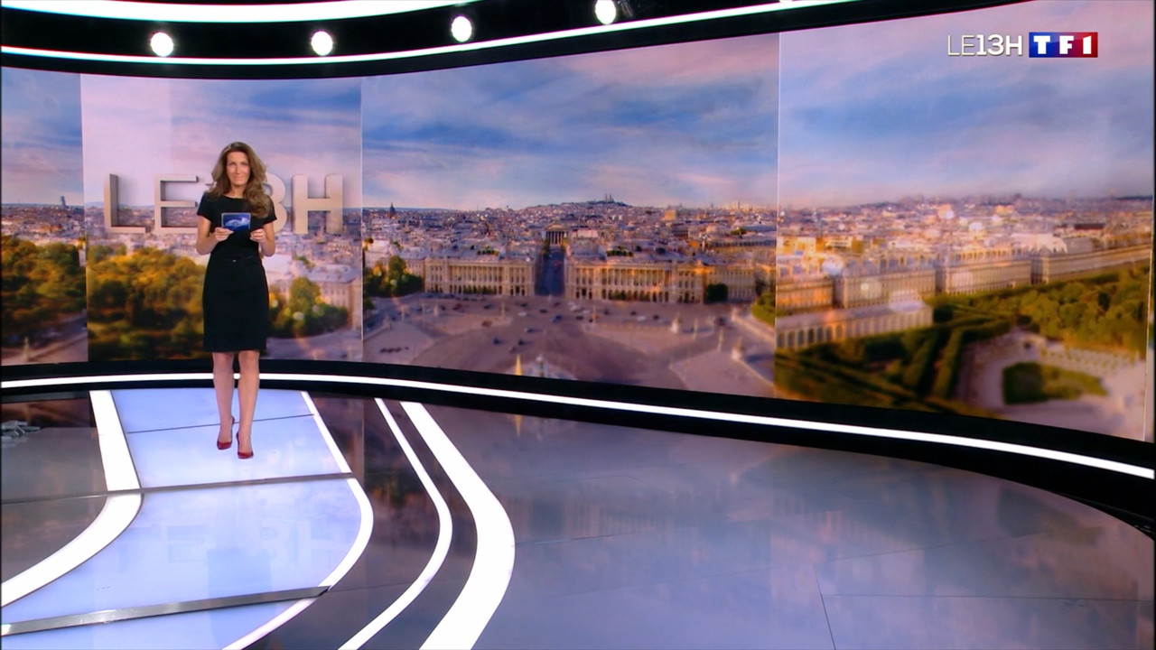 2022-01-23_13_00_TF1_Le-13h.mp4_snapshot_00.20.59.943
