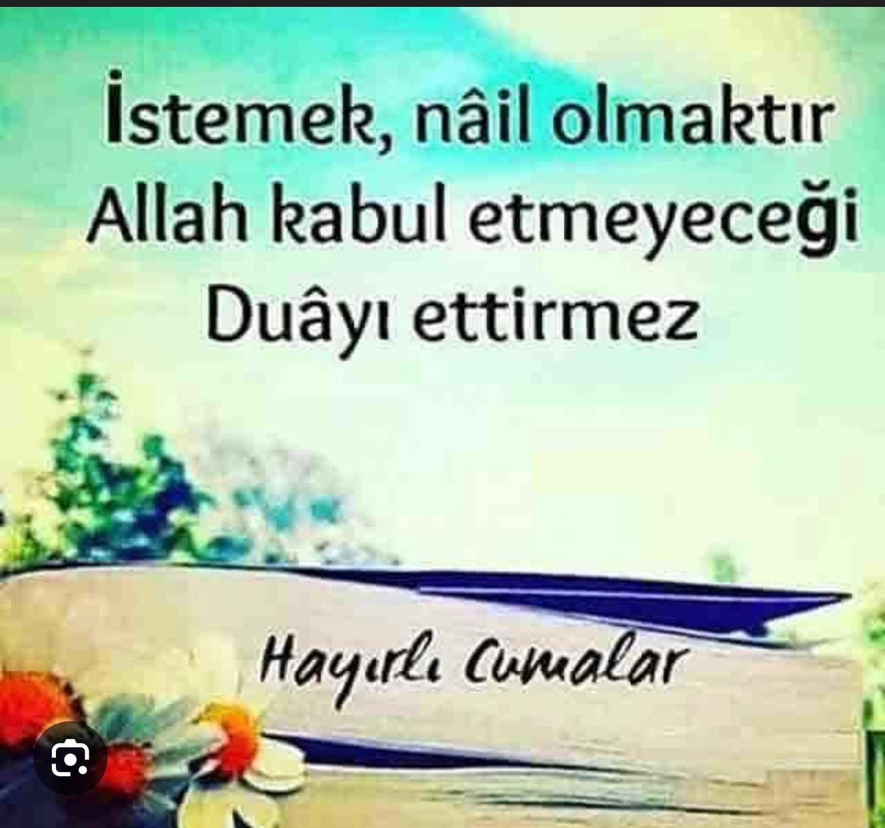 Whats App Bild 2025 12 11 um 19 53 25 07345874