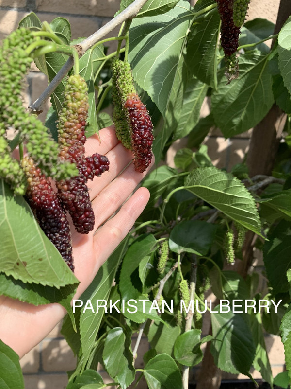 E0C45005-3E26-4F28-8CF7-8F469E713079