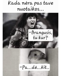 Paveikslėlis