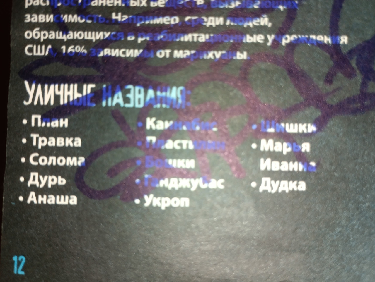 IMG-20260202-234026.jpg