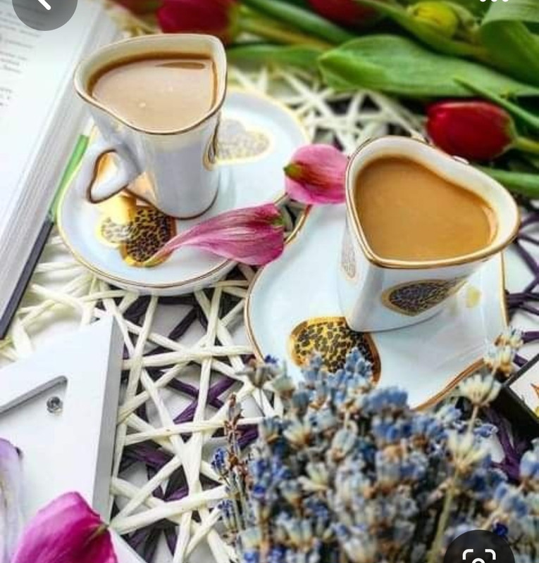 Screenshot_20230905_015408_Pinterest