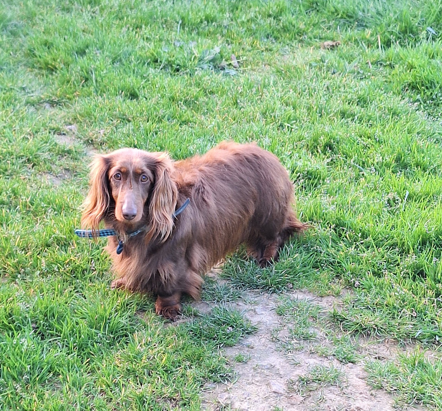 [Image: 20240324-181225.jpg]