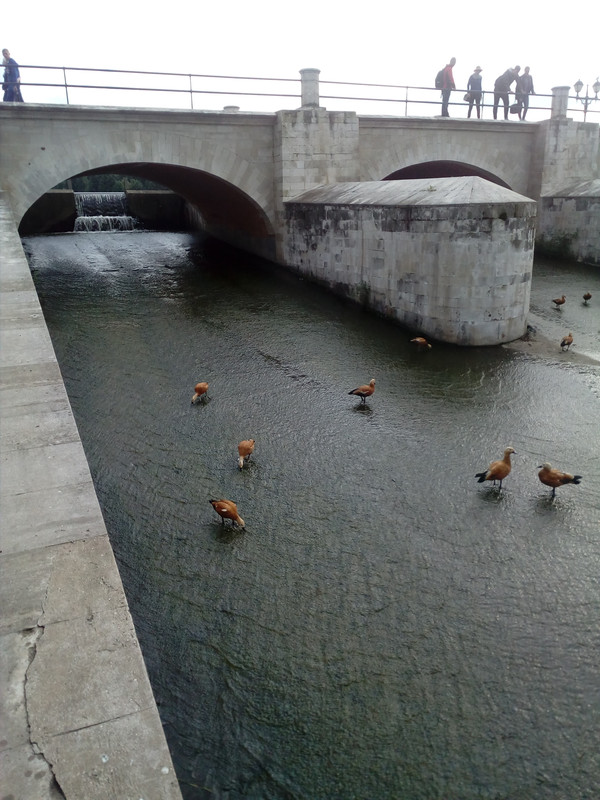 IMG_20170904_155930_1CS