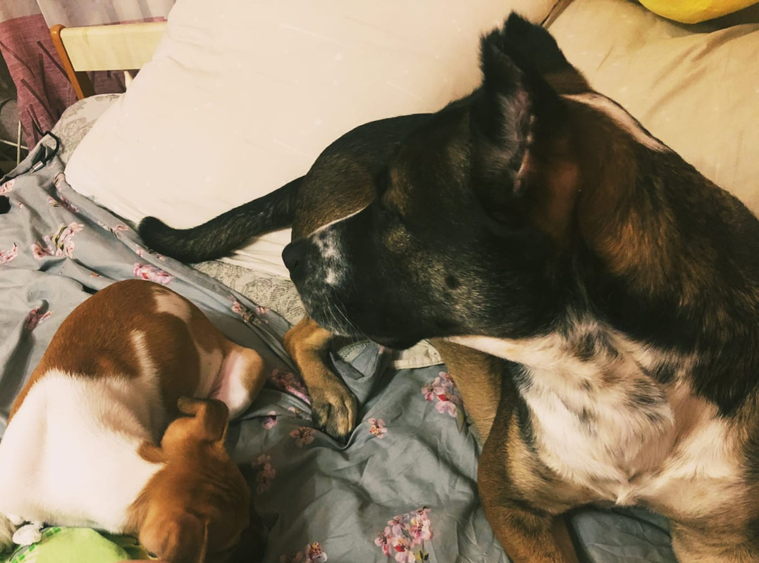 B89C2D94-6C4A-4E0C-84E9-9170C2323A97