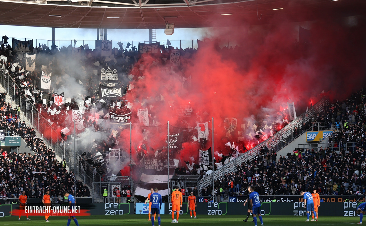 24-25-tsg-hoffenheim-eintracht-frankfurt-0018
