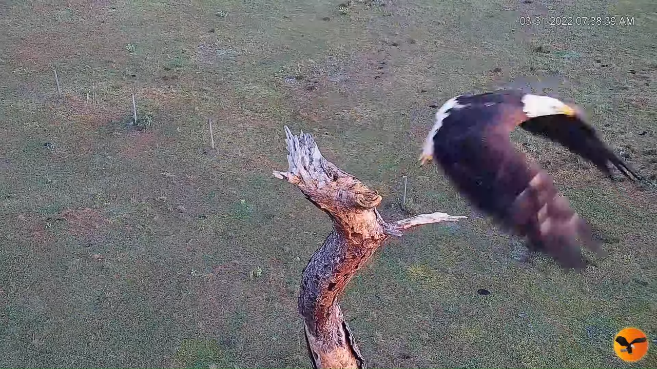 EC Remote Cam 5-17-59 screenshot (3)