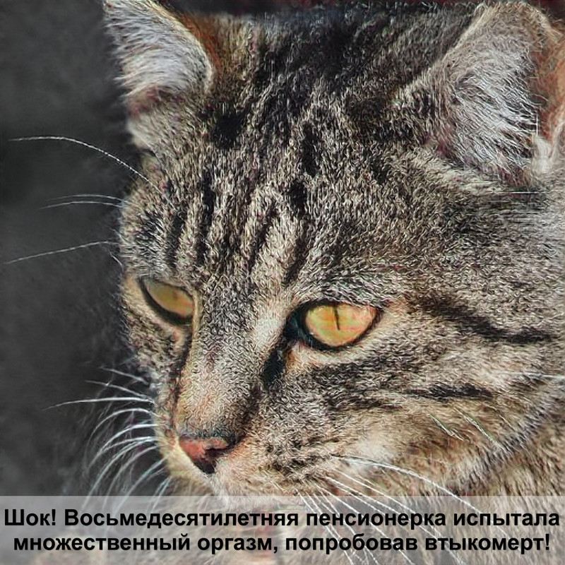 как убрать колтуны у кошки в домашних условиях