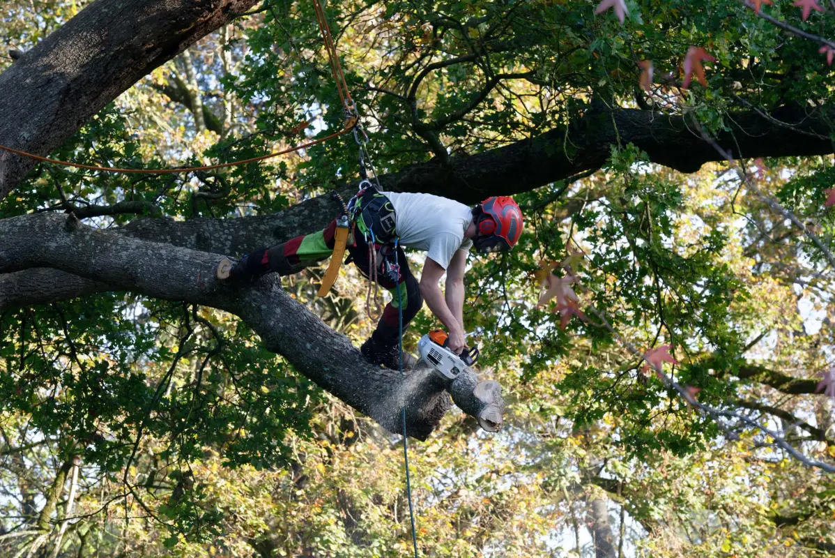 Entretien et maintenance
