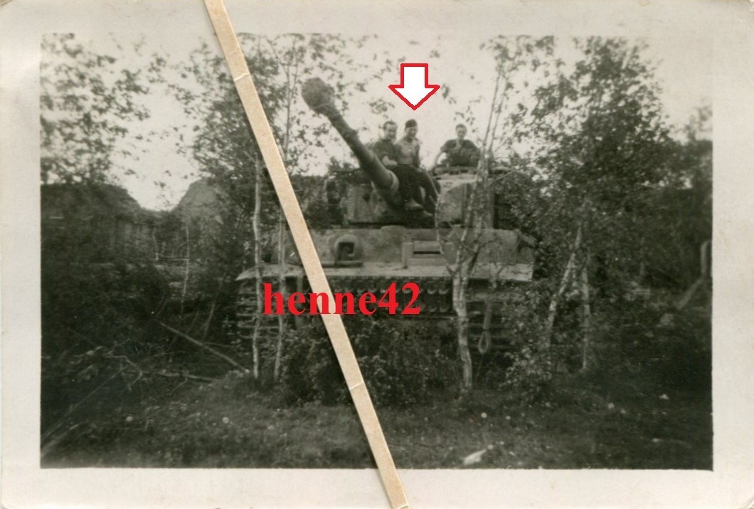 Foto Wehrmacht Dt Panzer VI Tiger in getarnter Stellung 2 WK