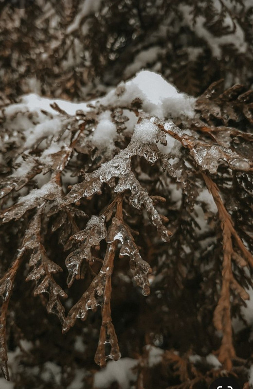 Screenshot_20231125_215620_Pinterest