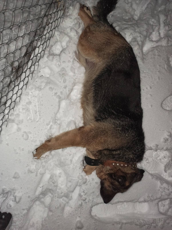 1009BFFC-D6A1-499A-A7D2-1F20BF2C63C7