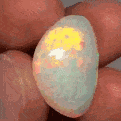 GIFs-25