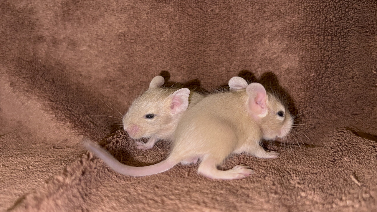 FFC0C4A6-9F5A-4B76-92E7-8B352AF4C3EB