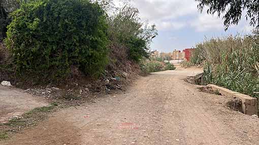 image00010