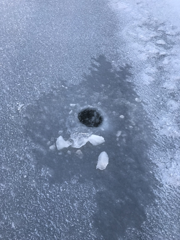 58E070E6-B778-4C72-9A01-02254107827D