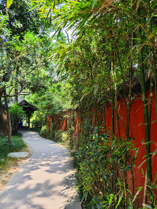 IMG_20230523_144304_副本