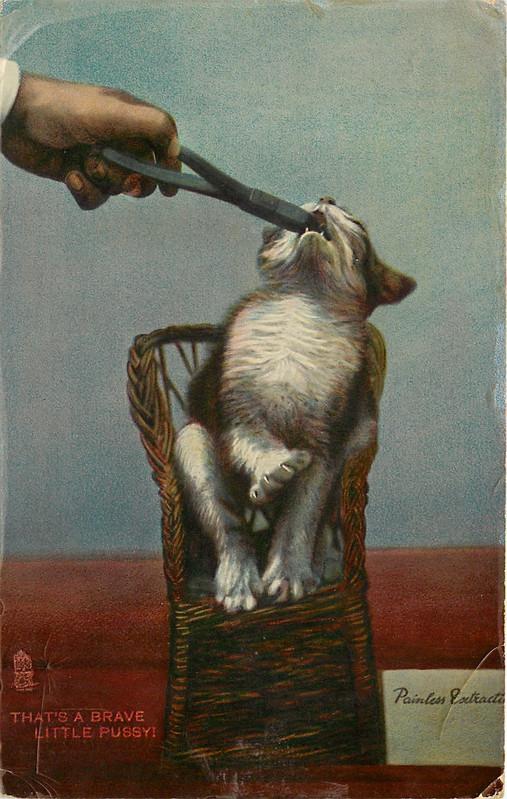 08-2011-05-31-17-32-59