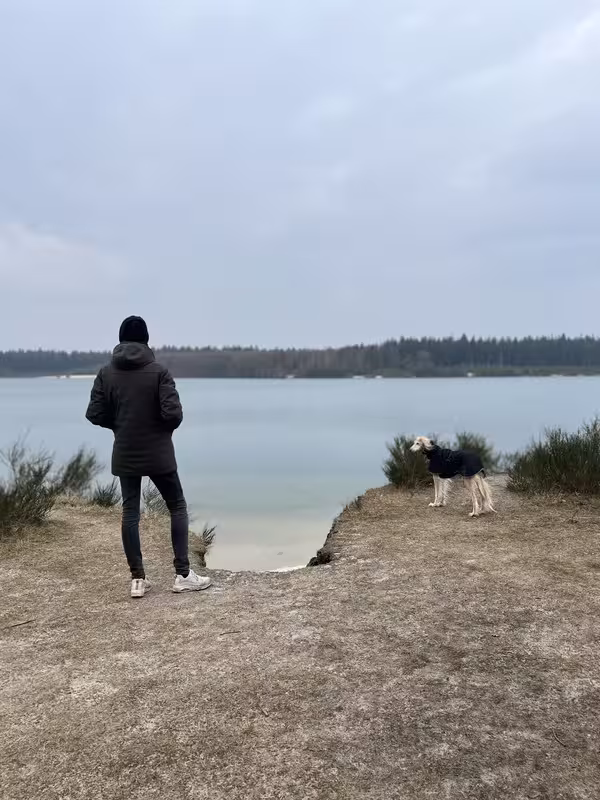 Afbeelding