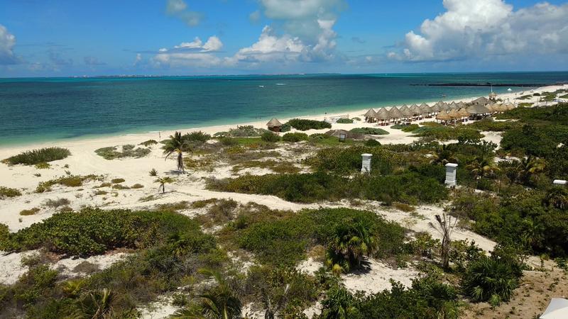 Alternativas al sargazo? ✈️ Foro Riviera Maya y Caribe Mexicano