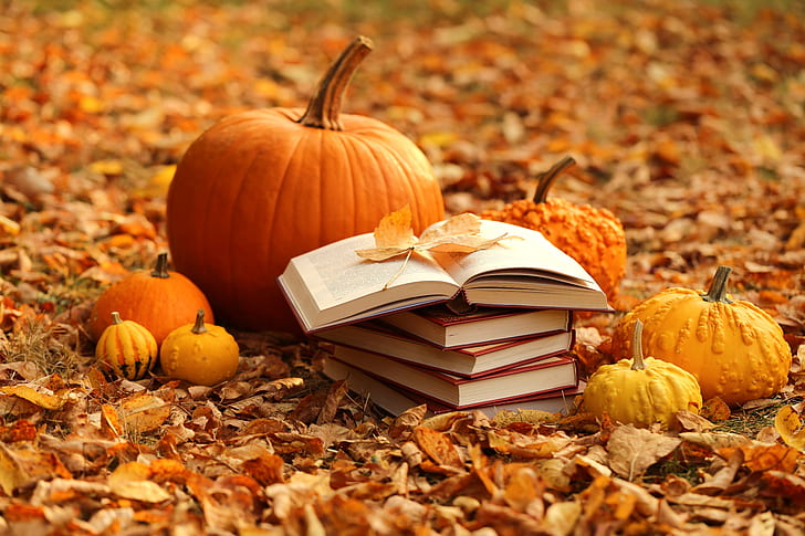 [Image: autumn-leaves-books-harvest-pumpkin-hd-w...review.jpg]