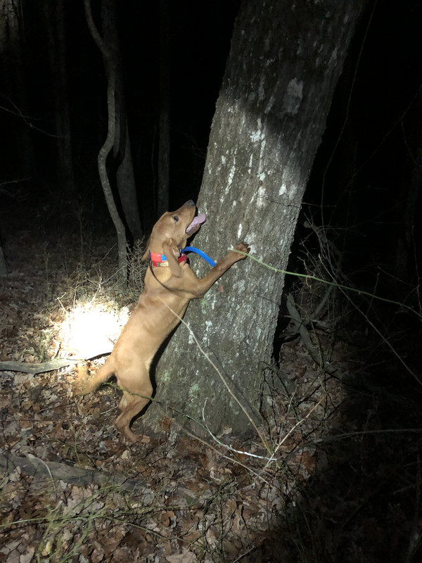 7783B6D0-2558-4F88-B4D5-9E833158CD44