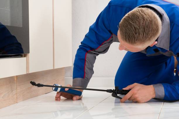 Kissimmee Termite Treatment