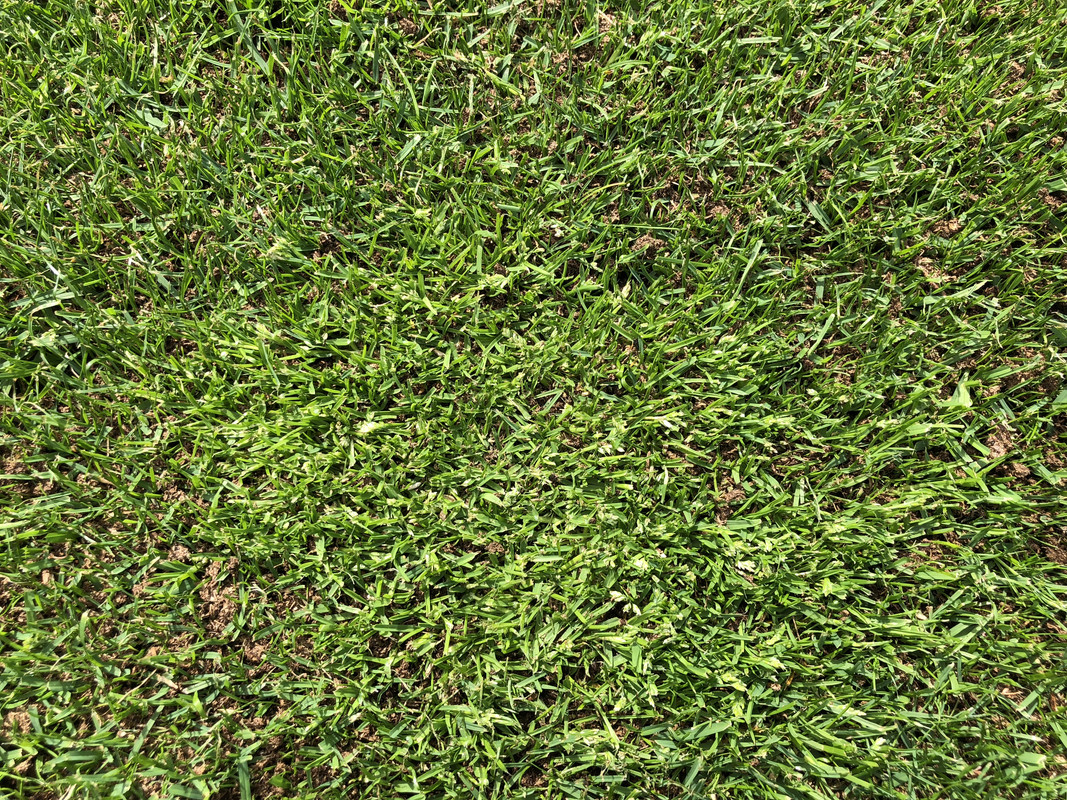 89900974-8154-40B3-BA02-BFE768E81FDC