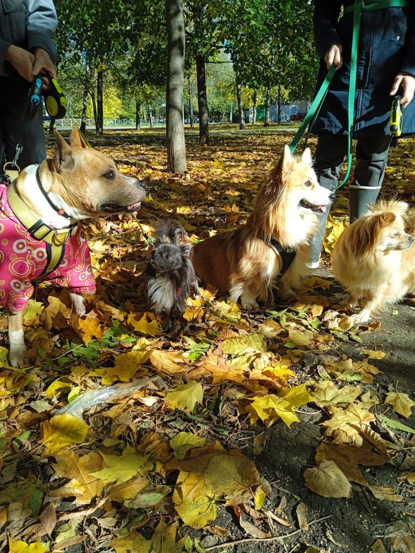 119AA954-171F-40D2-93E8-46C55780DC0C