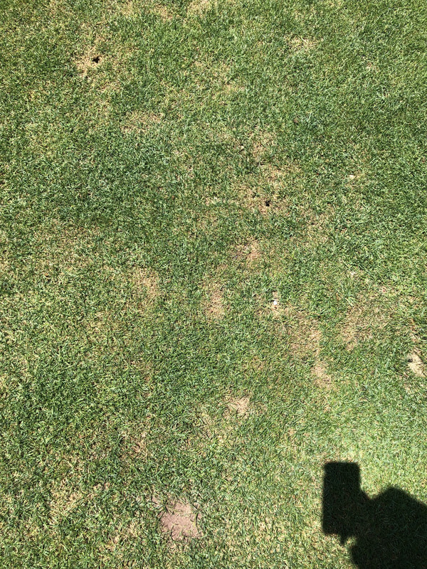 B8F9FC36-68ED-45AF-9F56-D8A14EDD9F23