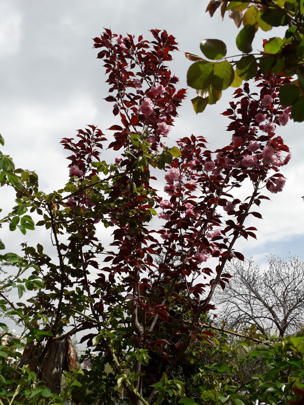 20190417_123641
