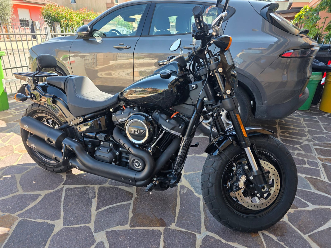 FatBob1