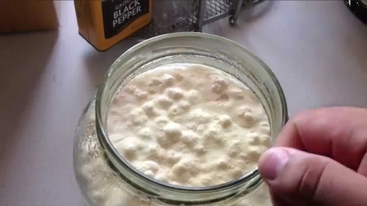 Búlgaros de leche: ¿Cuál es su origen y cómo se producen?