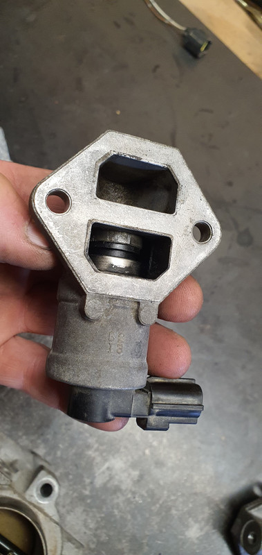 20240203_122238 (Custom)