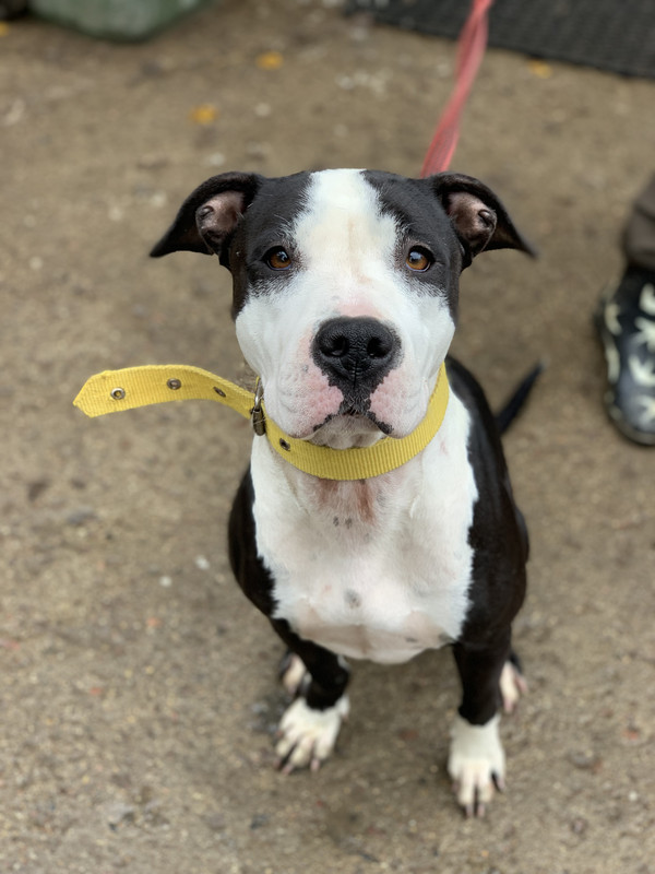 AF0FB5E6-FD51-4B30-9FAF-FD750FEB3C98