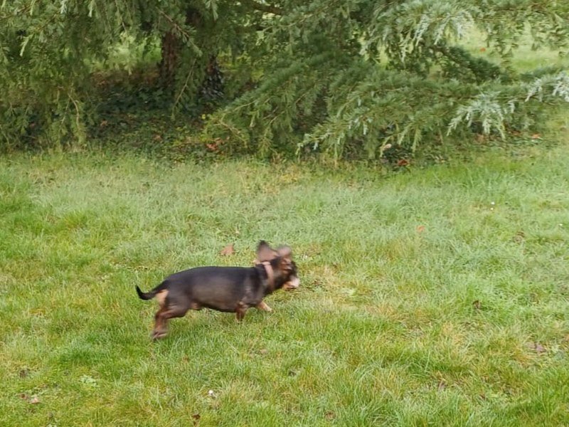 [Image: IMG-20240213-WA0000.jpg]