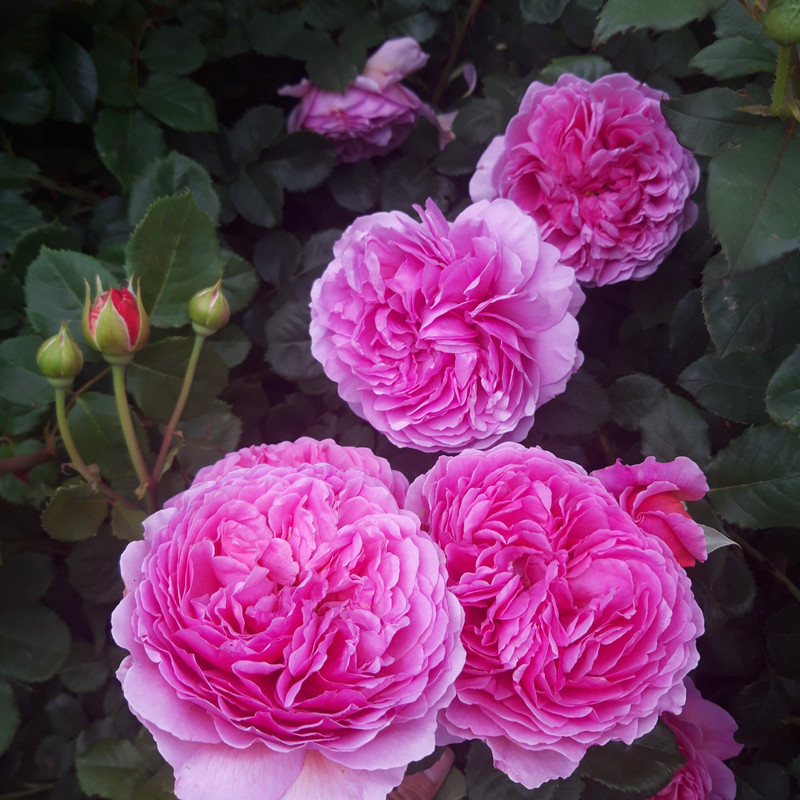 20190610_103429