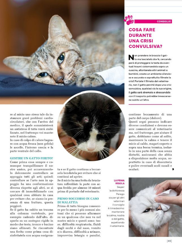 Ga Ma Feb-Mar 2024 (8)