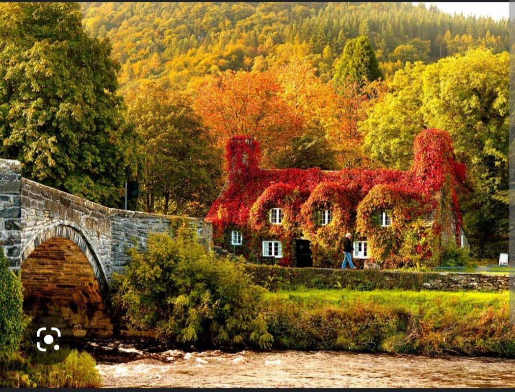 Screenshot_20221124-164042_Chrome