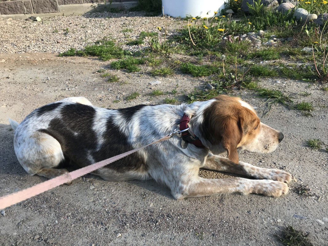 717EBD0D-107B-4AB7-9F43-71CEAE918DEB