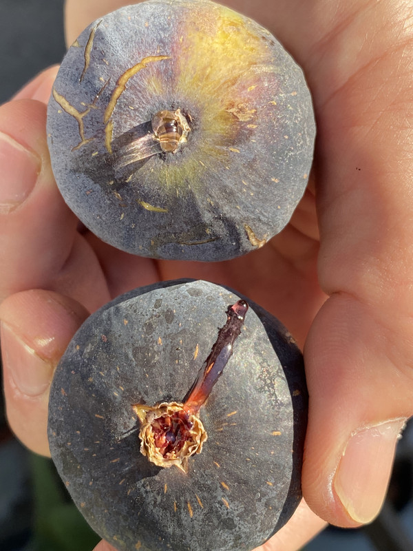 4D5B0A50-0769-4616-9099-9F8E5ACA8950