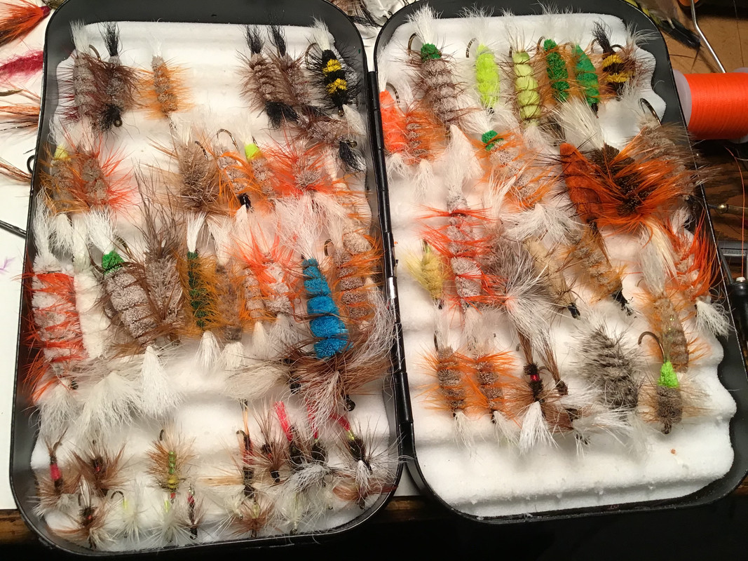 A9EF8E26-3982-481A-9472-42CA47A34D5F