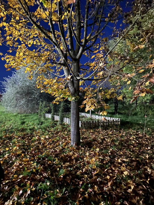 [Obrazek: IMG-3674.jpg]