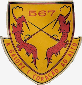 CCav567