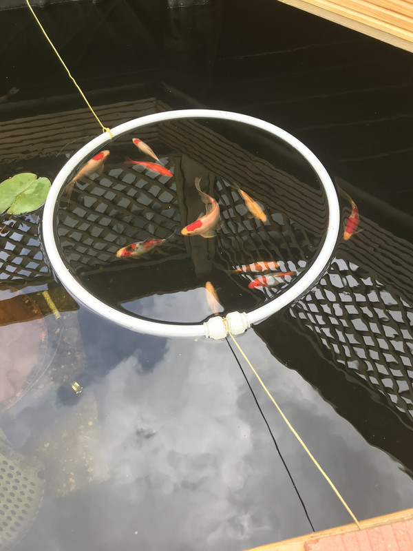 311EFD11-9762-4DC1-A3FE-0B8ED054F144