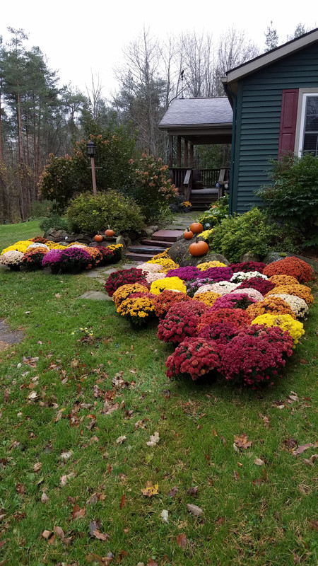 20181025_083907