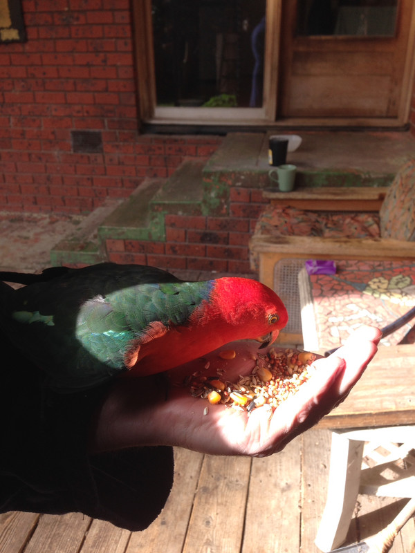 75E317F2-EB74-4263-BC74-667693AD622D