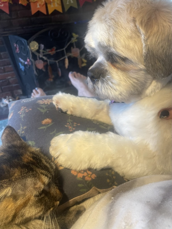 143EEFB3-5895-41E7-A889-A3C726B653DB_1_105_c