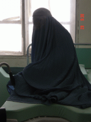 Introducing: The Lesburka.
